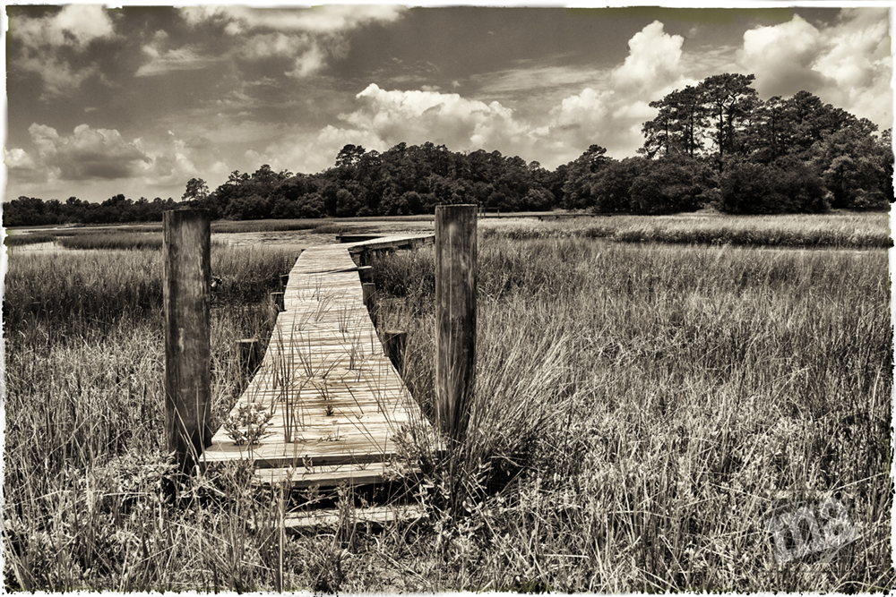 Bridge by Marge Agin, Low Country Fine Art Photography
