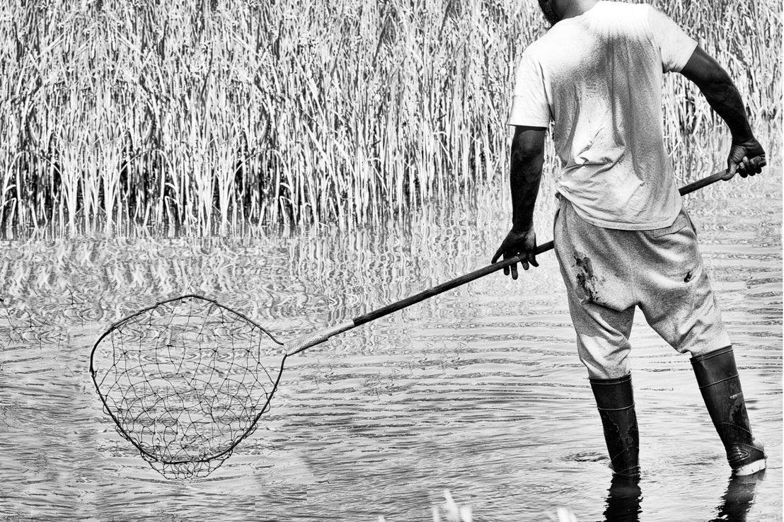 Marge Agin, Lowcountry Fine Art Photography