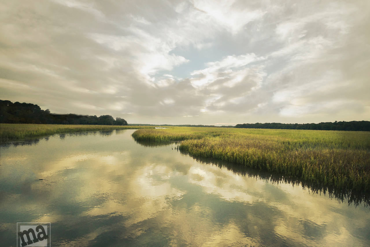 Marge Agin, Lowcountry Fine Art Photography